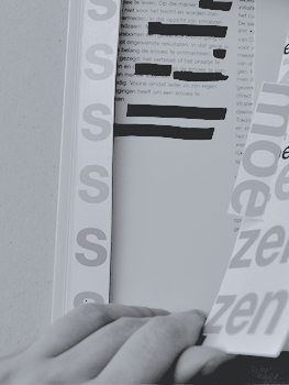 Democracy and Other Fairytales, Tatjana Macic