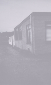 Evolution of Spectacle, Tatjana Macic